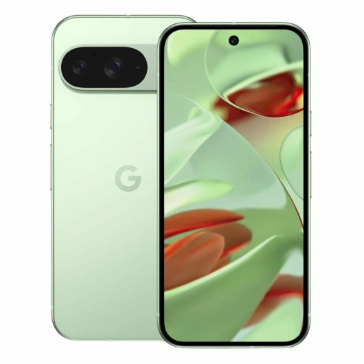 Google Pixel 9 12/128Gb Зеленый (JP)