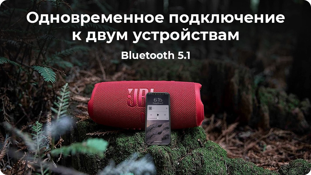 Портативная акустика JBL Charge 5,серый